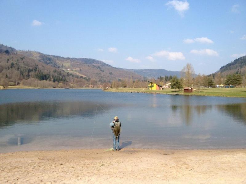 Chalet De Grettery Villa Saulxures-sur-Moselotte Exteriör bild