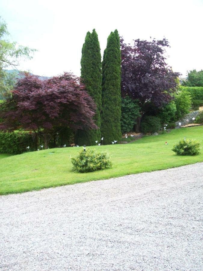 Chalet De Grettery Villa Saulxures-sur-Moselotte Exteriör bild